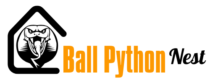 Ball Python Nest